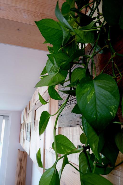 B&B Casa Sul Lago - Appartamenti Calceranica al Lago Værelse billede