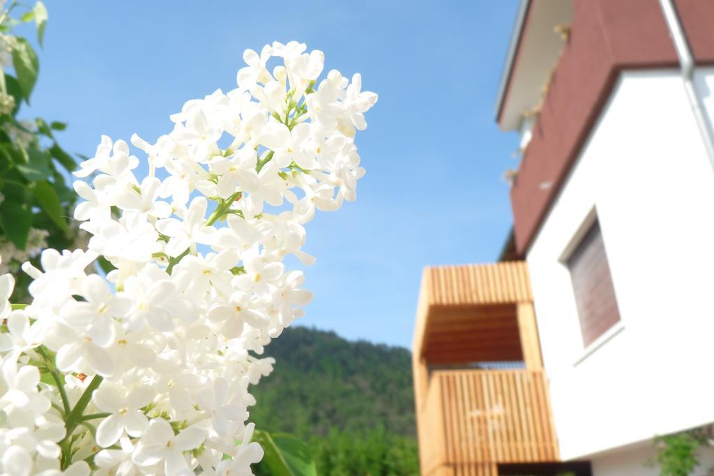 B&B Casa Sul Lago - Appartamenti Calceranica al Lago Værelse billede