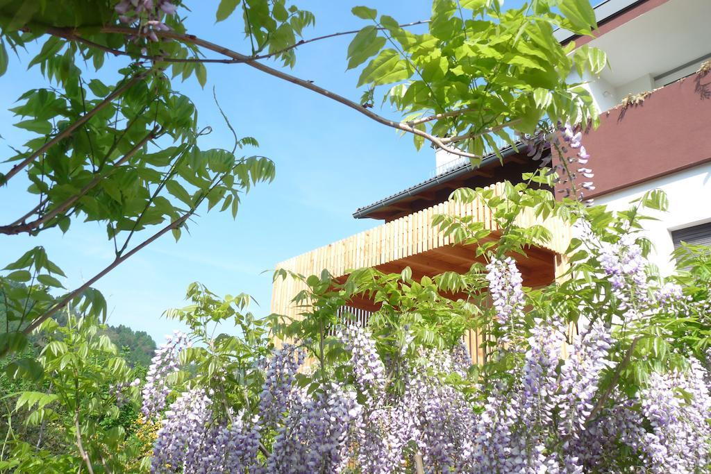 B&B Casa Sul Lago - Appartamenti Calceranica al Lago Eksteriør billede