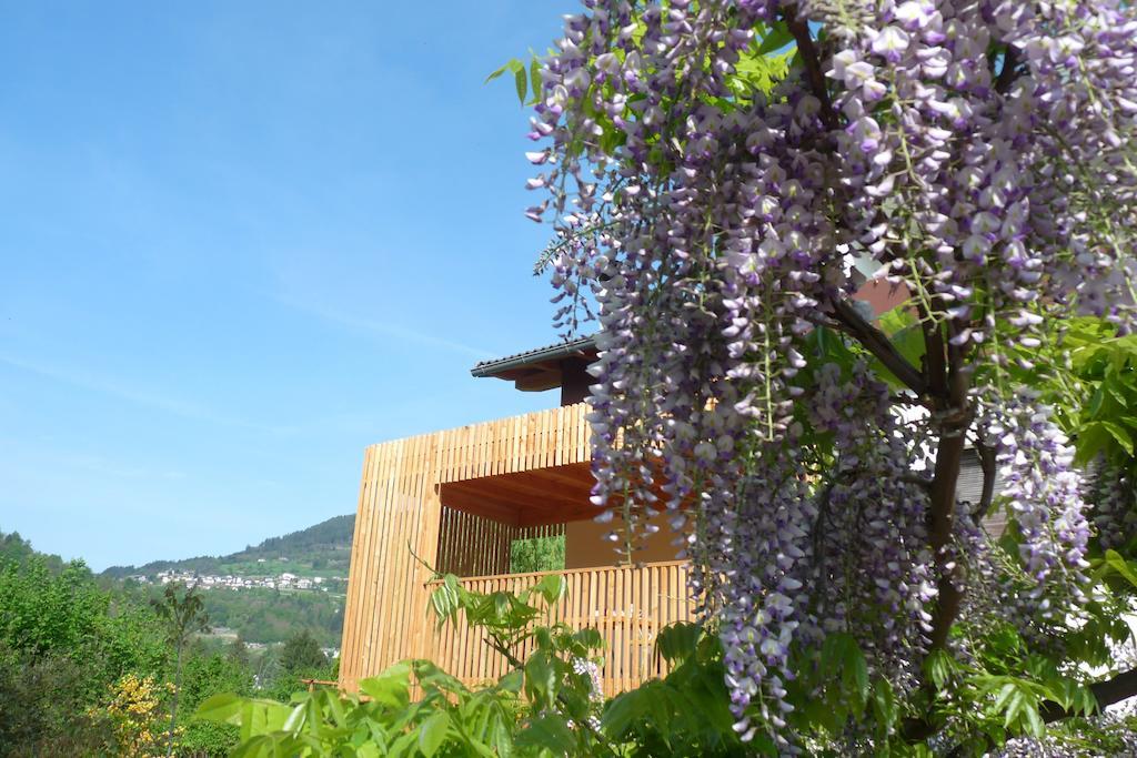 B&B Casa Sul Lago - Appartamenti Calceranica al Lago Eksteriør billede