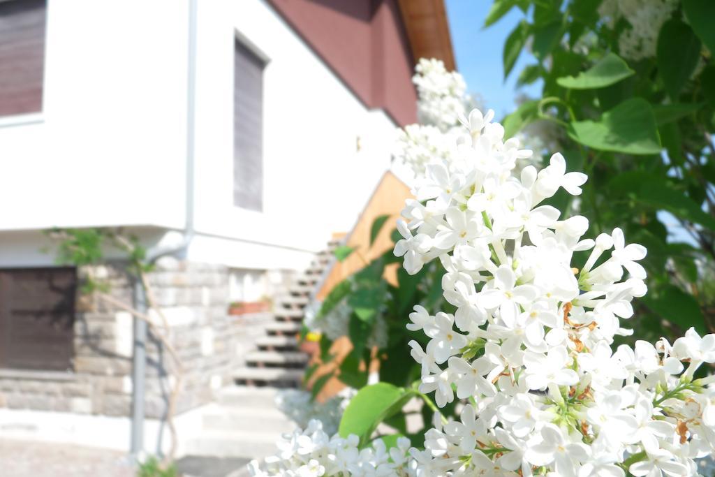 B&B Casa Sul Lago - Appartamenti Calceranica al Lago Eksteriør billede