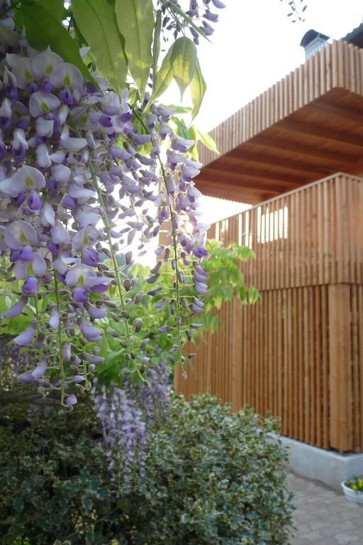 B&B Casa Sul Lago - Appartamenti Calceranica al Lago Eksteriør billede