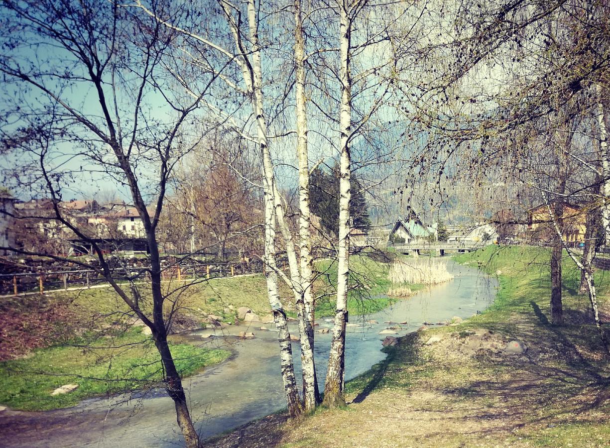 B&B Casa Sul Lago - Appartamenti Calceranica al Lago Eksteriør billede